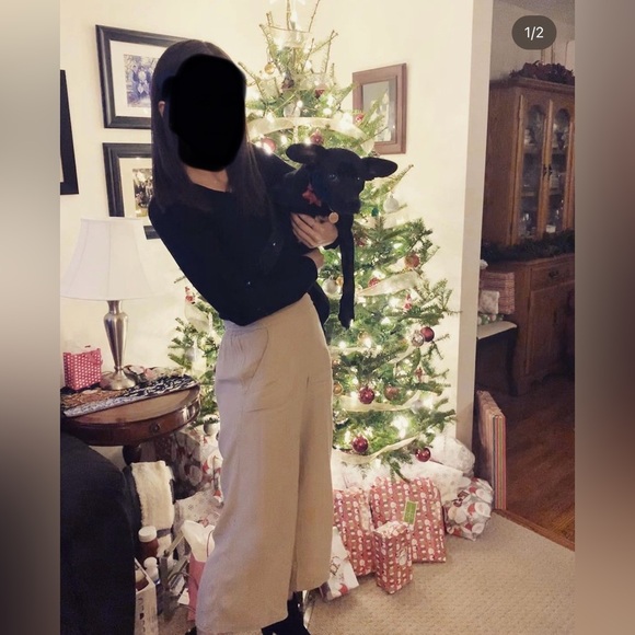 Wilfred high waisted flowy cropped paint with stretchy waist - Picture 3 of 3